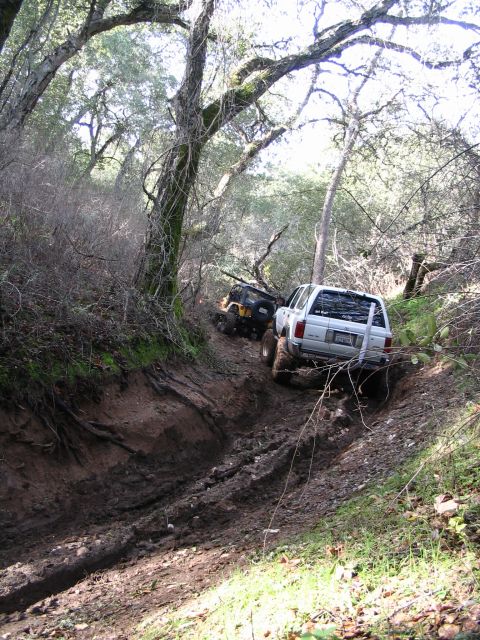 1993 Toyota 4Runner - Me in the jungle trail, again...