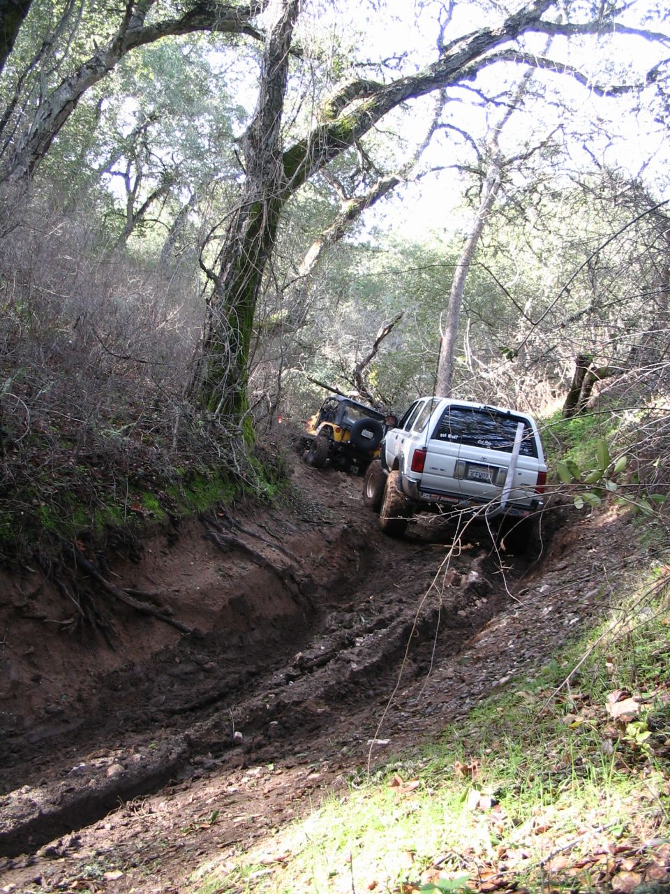 White Toyota 4Runner from behind climbing a muddy rutted forest trail, yellow Jeep ahead