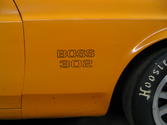 Custom fender decals