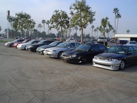 2002 Ford Taurus - Several Ford Taurus sedans are parked in a lot under a clear sky with palm trees.