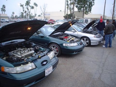 2002 Ford Taurus - Several Ford Taurus SHO models are displayed with their engines exposed at a car meet.