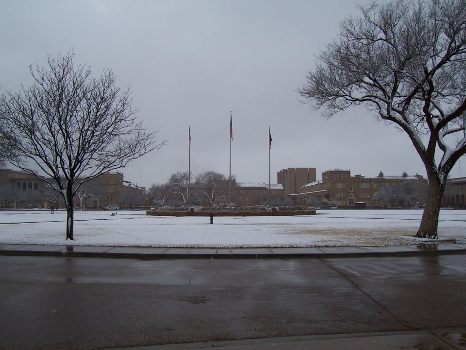 Snowy campus lawn with bare trees, flagpoles and brick buildings under grey sky