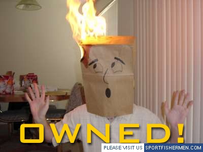 1990 Ford Taurus - Person with a paper bag on their head engulfed in flames, with the word 'OWNED!' visible.