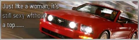 2000 Ford Mustang - A red convertible Mustang is captured in motion, with text overlayed on the left side of the image.