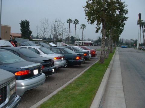 1993 Ford Taurus - Several sedans are parked in a lot under an overcast sky.