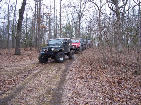 1999 Jeep TJ - A convoy of Jeeps navigates a wooded trail during an off-road excursion.