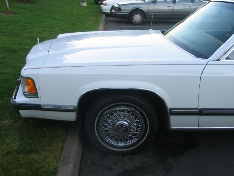 1988 Mercury Grand Marquis - Left Fender