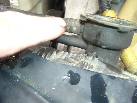 1993 Ford Taurus - A close-up view of a vehicle's radiator hose connection, showing signs of wear and potential leaks.