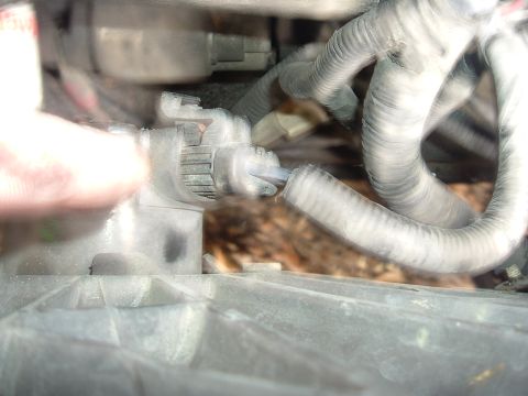 1993 Ford Taurus - Engine bay wiring harness and connector detail.