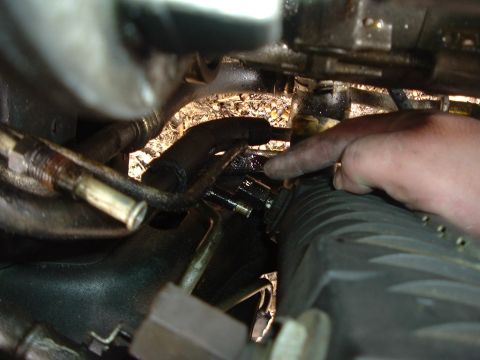 1993 Ford Taurus - Close-up view of vehicle radiator and hoses, with a hand indicating a connection point.