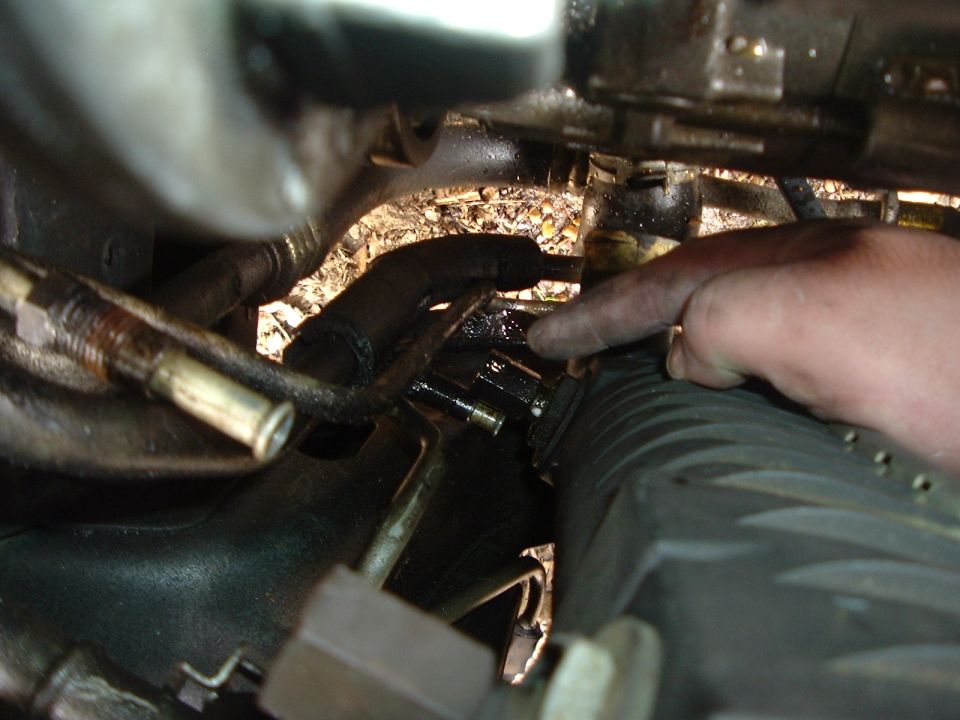 Close-up of radiator and hoses with a hand pointing to a connection