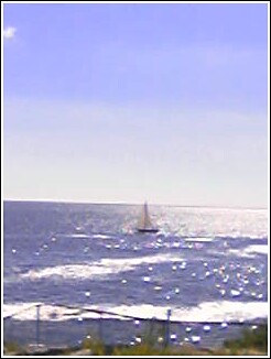 1993 Ford Bronco - A sailboat navigates the sparkling blue ocean on a sunny day.