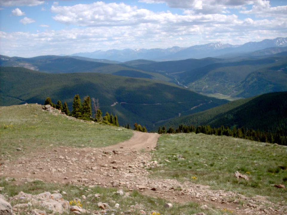 Mountain landscape with a dirt road winding through grassy hills and evergreen forests
