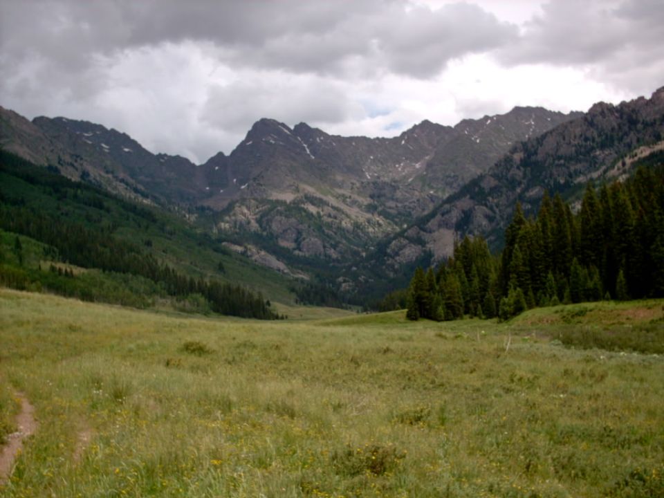 Mountain landscape with meadow, trees, and cloudy sky