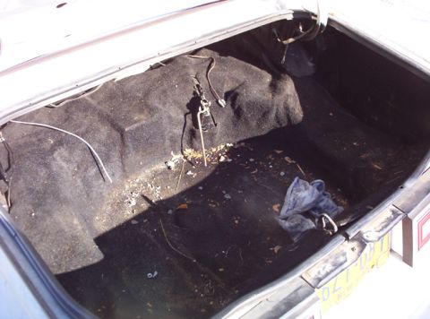 1991 Ford LTD Crown Victoria - The trunk interior of a vehicle, showing the carpeted floor and spare tire well, with some debris present.