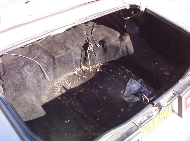 Trunk interior with carpet and spare tire well