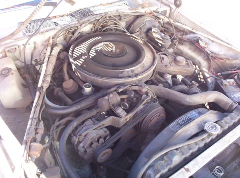 1991 Ford LTD Crown Victoria - View of the engine bay, showing the air cleaner assembly, alternator, and radiator.