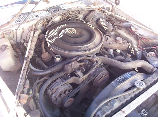 Engine bay with air cleaner, alternator, and radiator