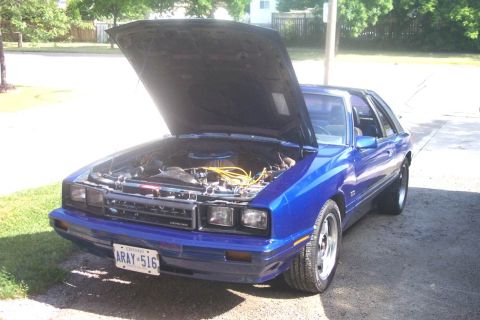 1982 Mercury Capri photo