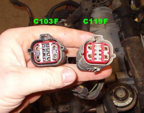 1994 Ford Crown Victoria - 2000 Engine bay harness (14290) connectors