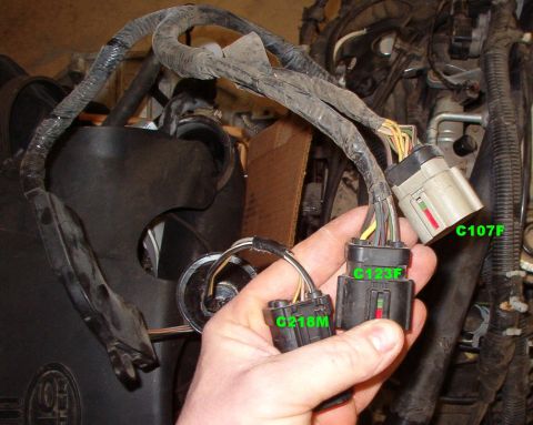 1994 Ford Crown Victoria - 2000 Engine bay harness (14290) connectors