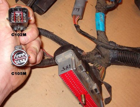1994 Ford Crown Victoria - 2000 EEC harness (12A581) connectors