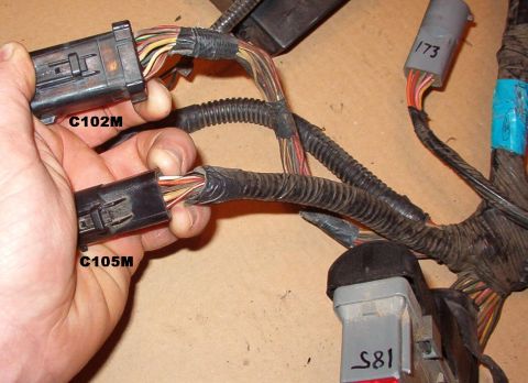 1994 Ford Crown Victoria - 2000 EEC harness (12A581) connectors