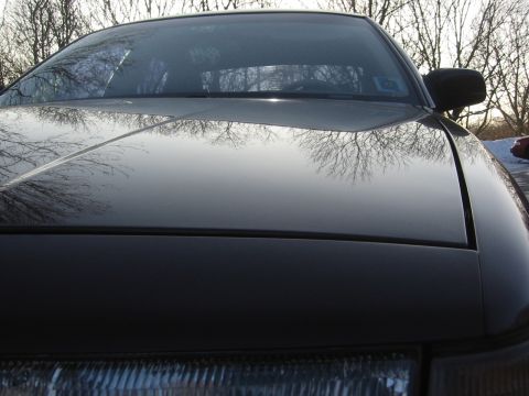 1992 Ford Crown Victoria - Front view of a dark-colored car, focusing on the hood and windshield with reflections of bare trees.