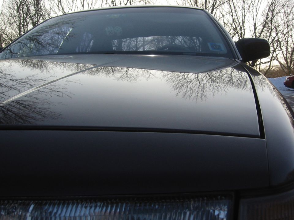 Black car hood and windshield reflection of trees