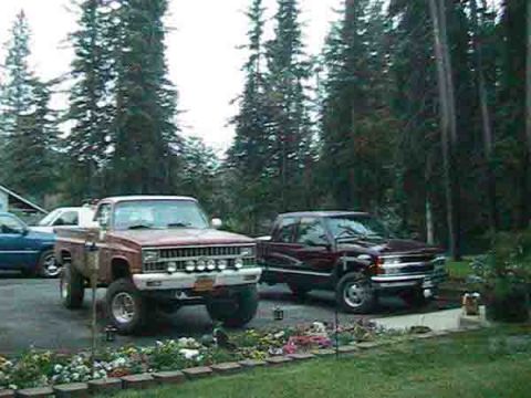 1981 Chevrolet C/K Pickup - A red 1981 Chevrolet C/K Pickup is parked in a driveway alongside another pickup truck, with a backdrop of tall evergreen trees.