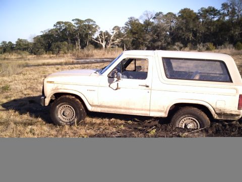 1983 Ford Bronco photo