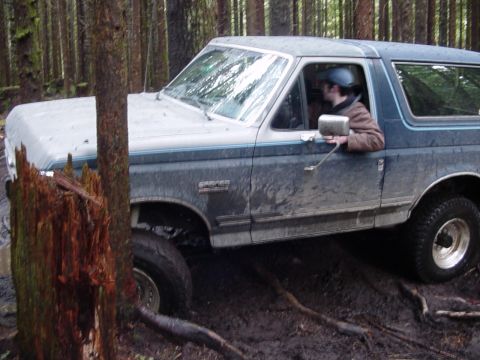 1987 Ford Bronco - stump dodgin in the ruts