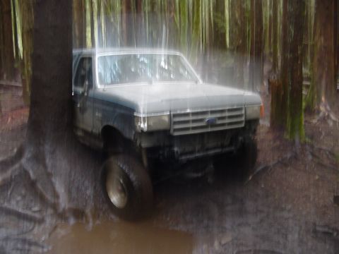 1987 Ford Bronco - This Ford Bronco is deep in the mud, surrounded by trees. The front end is visible, showing it's likely from the late 1980s.