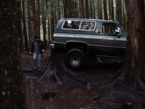 1987 Ford Bronco - rich on a stump