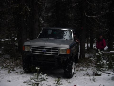 1987 Ford Bronco - A Ford F-Series truck is parked in a snowy forest with trees surrounding it.