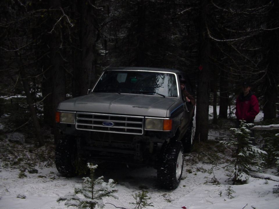 Silver Ford F-Series truck parked in snowy woods. Front grille and headlights visible