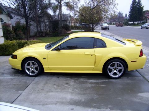 2002 Ford Mustang - A yellow 2002 Ford Mustang coupe is parked on a driveway in front of a suburban house.
