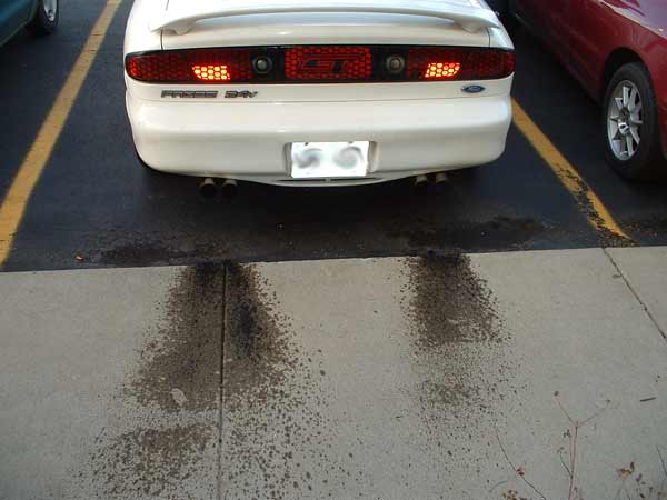 Rear of white 1993 Ford Probe with GT badge, parked next to a red car. Leaks on the ground