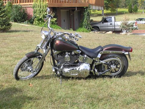 1995 Mercury Grand Marquis - Custom Harley-Davidson motorcycle with chrome accents sits on a grassy lawn.