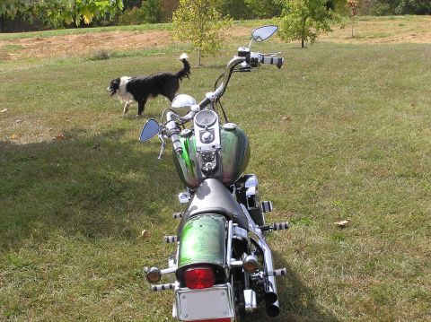 1995 Mercury Grand Marquis - A green motorcycle is parked on a grassy lawn with a dog in the background.