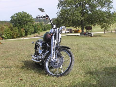 1995 Mercury Grand Marquis - Motorcycle parked on grass with trees and structures in the background.