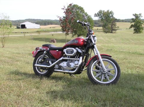 1995 Mercury Grand Marquis - A red Harley-Davidson Sportster motorcycle sits in a grassy field with a barn visible in the distance.