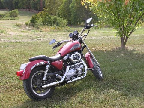 1995 Mercury Grand Marquis - A red motorcycle is parked on a grassy field with trees in the background.