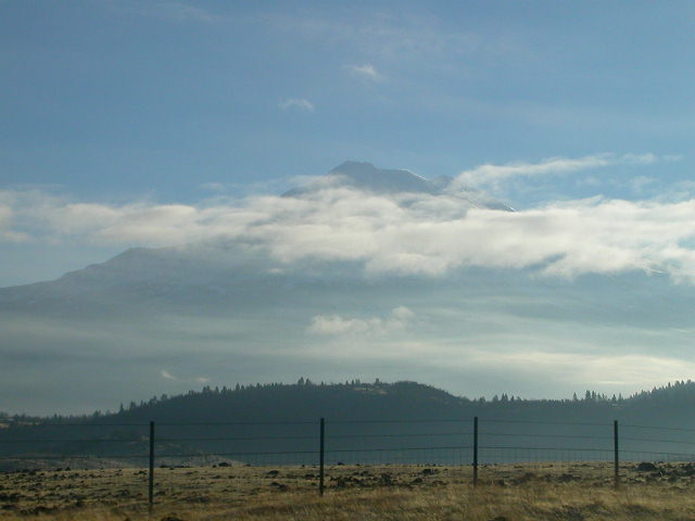 Mountain peak shrouded in clouds above a treeline and fence