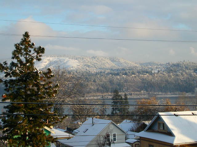 Snowy hills and houses under a cloudy sky. A large pine tree is in the foreground