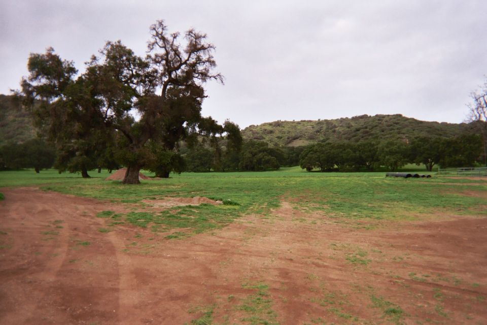 Open grassy field with a large oak tree and wooded hills behind