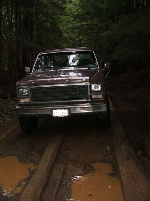 1980 Ford Bronco - small mud puddle
