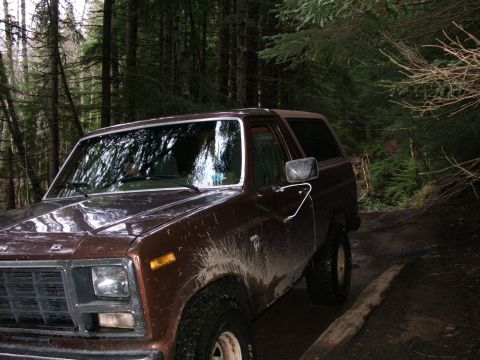 1980 Ford Bronco - A muddy brown Ford Bronco drives through a dense forest.