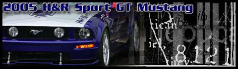 2000 Ford Mustang - Front view of a 2005 Ford Mustang GT with blue and white racing stripes.