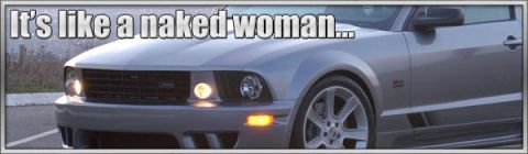 2000 Ford Mustang - A silver Ford Mustang is shown from the front quarter angle, with text superimposed over the image.